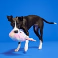 thumbnail image 6 of BARK Cotton Candy Eyed Joe - Yankee Doodle Dog Toy, with Bonus Spiky Squearker Ball, all Dog Sizes, 6 of 7
