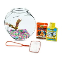 Vibrant Life Glass Fish Bowl with Starter Kit, 1 Gallon