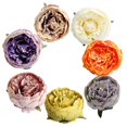 thumbnail image 1 of Cabeza de flor de peonía artificial de seda de 10x5 cm para decoración de pared, ideal para bodas, fiestas en el hogar o como fondo decorativo. mezclado, 1 of 9