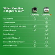Optimum Nutrition, Micronized Creatine Powder, Unflavored, 60 Servings