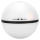 thumbnail image 3 of Pelota De Juguete Para Gatos, Bola De Gato Divertida Con Sonido Rodante Resistente Para Interiores Para Gatos Para Gatitos ANGGREK Accesorio de Mascotas, 3 of 7