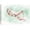 BS21-MARINELIFE-FO06, variant on wall26 Canvas Print Wall Art Watercolor Red, Green & White Beluga Whales Animals Marine Life Illustrations Realism Nautical Scenic Relax/Calm Multicolor for Living Room, Bedroom, Office - 16"