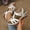 White, variant on Women's Cutout Wedge Sandals, Multi-Strap Ankle Buckle Shoes, Plus Size Bohemian Style Comfort Footwear for Beach & Vacation White 36