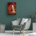 thumbnail image 2 of Trademark Fine Art David Drost Guiding Light I Canvas Wall Art, 2 of 4