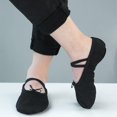 thumbnail image 1 of Zapatos de Ballet para niñas, zapatillas de baile de Ballet de suela blanda de lona, zapatos de bailarina de práctica para niños, zapatos de baile para mujer Tan Jianjun  unisex, 1 of 2