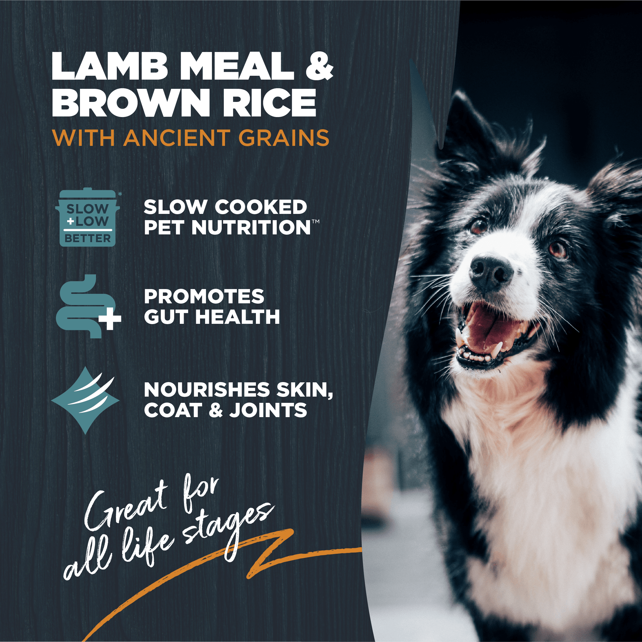 Blackwood Dry Dog Food for Sensitive Skin & Stomach, Lamb Meal with Ancient Grains, 24 lb.