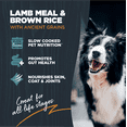 thumbnail image 3 of Blackwood Dry Dog Food for Sensitive Skin & Stomach, Lamb Meal with Ancient Grains, 24 lb., 3 of 8