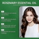 thumbnail image 5 of Rosemary Oil for Hair Growth, Strengthens Strands, Promotes Scalp Circulation, 100% Pure & Natural, 5 of 5