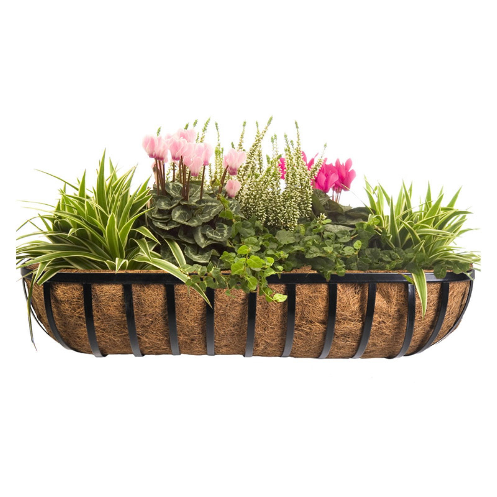 CobraCo 36" Black English Horse Trough Planter by CobraCo