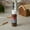 Brown, variant on Craft Smart 2oz. Coral Reef Satin Acrylic Paint - Non-Toxic Paint for Drawing, Painting, Art & Crafts Supplies - Bulk 12 Pack