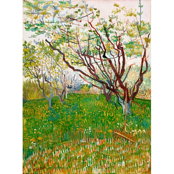 The Flowering Orchard by Vincent van Gogh - 12" x 18" Art Print Wall Decor