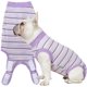 thumbnail image 1 of Traje de recuperación para perros Sebidtco para perras después de la esterilización, 1 of 5