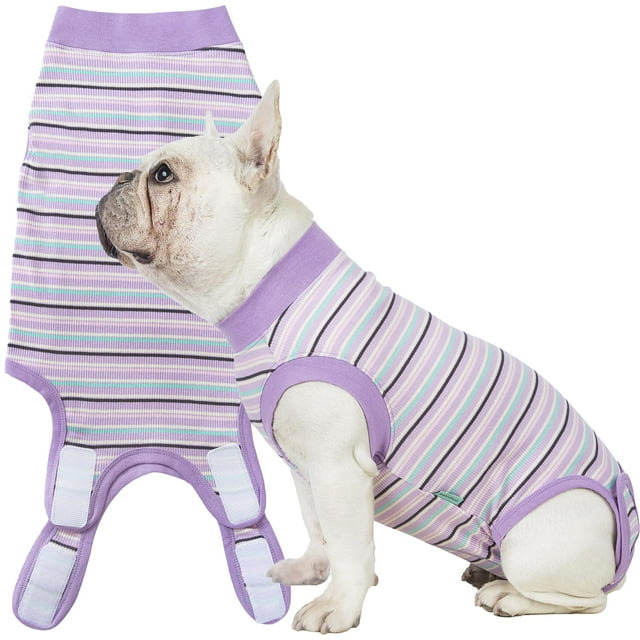 Traje de recuperación para perros Sebidtco para perras después de la esterilización