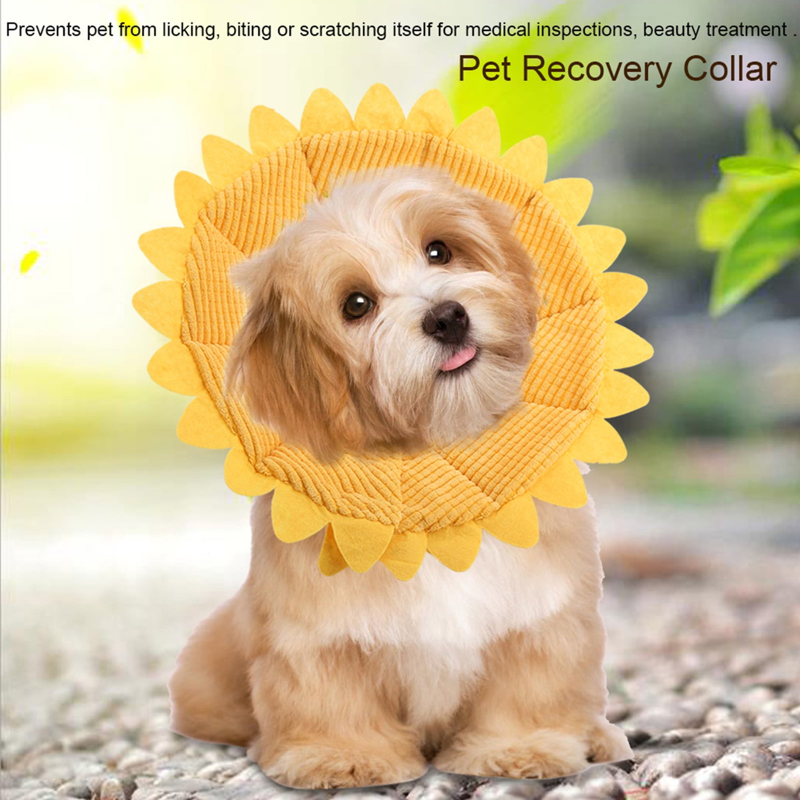 Golden Retriever Sunflower Dog Cone Pet Recovery Cone, Cotton