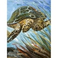 thumbnail image 1 of Carolines Treasures JMK1168GF Loggerhead Sea Turtle Flag Garden Size, 1 of 3