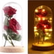 thumbnail image 1 of Rosa encantada de La Bella y la Bestia, rosa eterna en cúpula de cristal, rosa de seda roja romántica iluminada, regalos para mujeres, paquete de regalo perfecto para bodas, aniversarios, 1 of 7