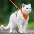 thumbnail image 4 of Cat Harness and Leash Set Escape Proof for Kitten Walking, Soft Adjustable Top Handle Vest Harnesses for Cats, Easy Control Breathable Reflective Small Medium Large, Orange, S, 4 of 9