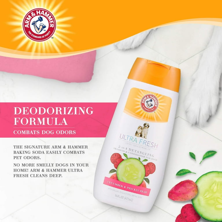 Liz Detangling Shampoo Liz Detangling Shampoo