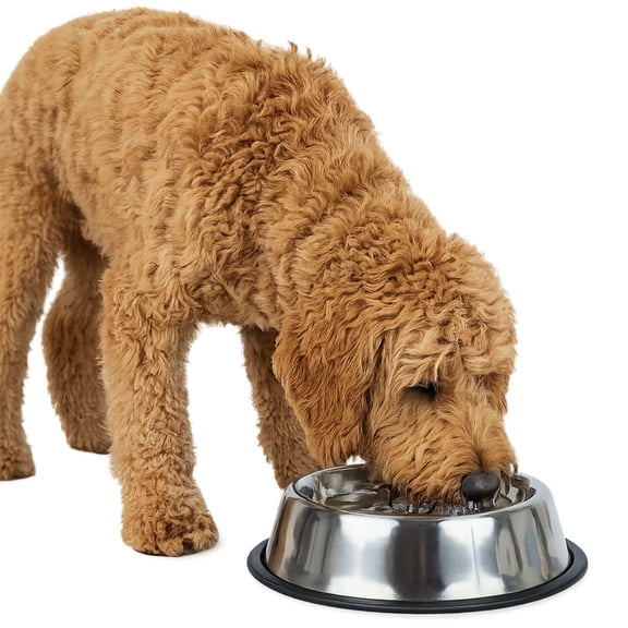 One Paw, Stainless Steel Bowl for Dogs and Cats, Perfect for Food, 1.89 L