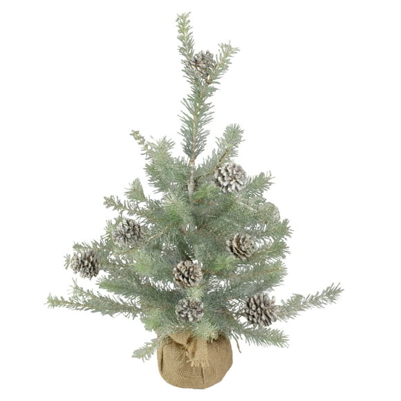 Napa Home & Garden 2' Potted Vintage Glittered Pine Full Artificial Christmas Tree - Unlit