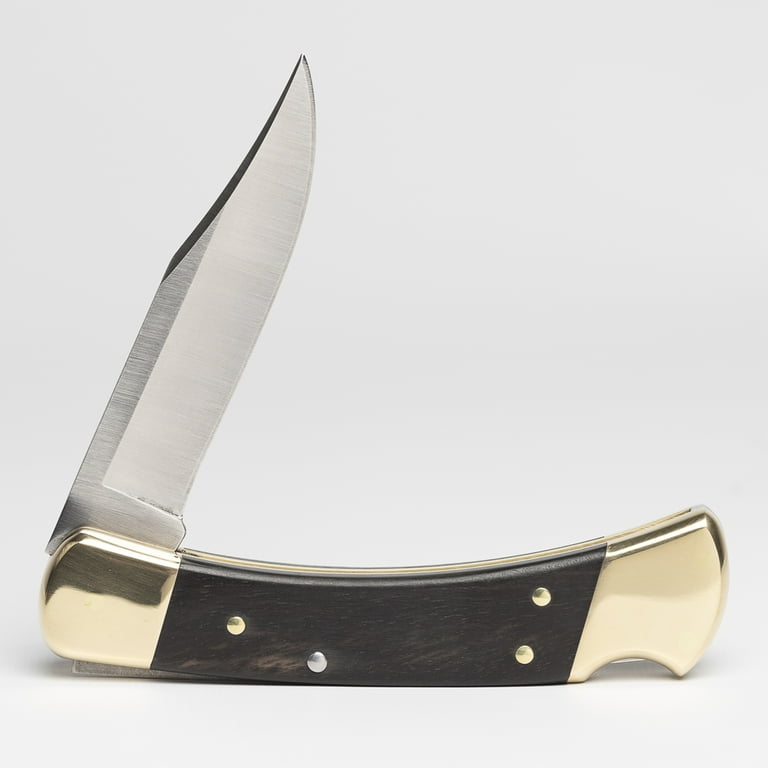 美品 BUCK-TICK 20th anniversary series 12枚 Buck Knives 110 Folding Hunter with Commemorative Coin, 120th