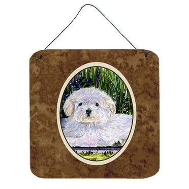Carolines Treasures SS8430DS66 Cotton De Tulear Aluminum Metal Wall or Door Hanging Prints, 6 x 6", Multicolor