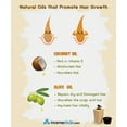 thumbnail image 2 of Incensesticks Olive Carrier Oil, 100 ml, 2 of 5