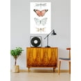 thumbnail image 2 of Summer Butterflies. Poster - Jennifer Paxton Parker Designs,, 2 of 3
