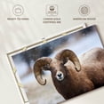 thumbnail image 6 of Elephant Stock Bighorn Sheep Wall Art - Horizontal Canvas Wall Art - Living Room Wall Decor - Animal Canvas - Brown And White Decor - 12" x 8", 6 of 8