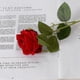 thumbnail image 4 of 10pcs Real Touch Rose Flowers Flannel Flower Compatible With Wedding Home Decor, 4 of 5