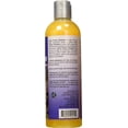 thumbnail image 2 of Protein Enriched Shampoo 17oz, 2 of 3