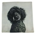 thumbnail image 2 of Dog | Black Poodle | Throw Pillow | Dogs | Home Decor | Custom Dog Pillow | Dog Mom | Large Dog |   Dog Mom Gift | Dog Lover Gift, 2 of 5
