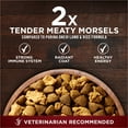 thumbnail image 3 of Purina ONE True Instinct High Protein Dry Dog Food for Adult Dogs, Muscle Support, Salmon & Tuna, 15 lb Bag, 3 of 11