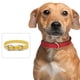 thumbnail image 4 of Collar de perro Collares de cuero para cachorros Collares de perro ajustables para perros pequeños Collar multicolor para mascotas, 4 of 5
