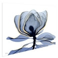 thumbnail image 4 of Empire Art Direct Golden Midnight 1 Frameless Free Floating Tempered Glass Panel Graphic Flower Wall Art, 32" x 48" x 0.2", Ready to Hang, 4 of 6