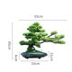 thumbnail image 2 of Plantas artificiales, bonsái Artificial, árbol de enebro, maceta de cerámica, bonsái de pino falso, simulación Zen, planta falsa, árbol bonsái Artificial, 2 of 7