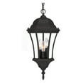 thumbnail image 2 of 5026BW-Acclaim Lighting-Brynmawr - Three Light Outdoor Hanging Lantern - 9 Inches Wide by 20 Inches High Burled Walnut  Burled Walnut Finish with, 2 of 2