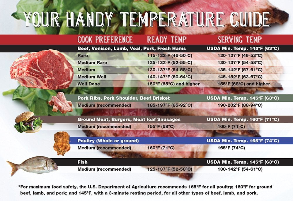 Great Choice Products Internal Temperature Guide Magnet - Meat Temperature  Chart - Beef, Chicken & Poultry, Fish, Pork 