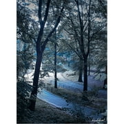Trademark Fine Art "Snow Flakes" Canvas Art by Miguel Paredes