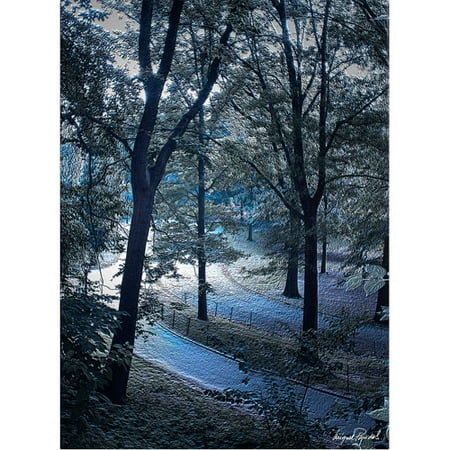 Trademark Fine Art "Snow Flakes" Canvas Art by Miguel Paredes