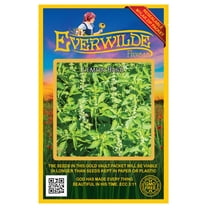 Everwilde Farms - 2000 Lemon Basil Herb Seeds - Gold Vault Jumbo Bulk Seed Packet
