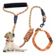 thumbnail image 1 of Collar Y Correa Para Perros Chico Mediano Grande Resistente, 1 of 8