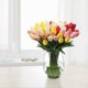thumbnail image 4 of 10pcs tulipán imitación flor-blanco leche Adepaton LRWJ462-1, 4 of 7