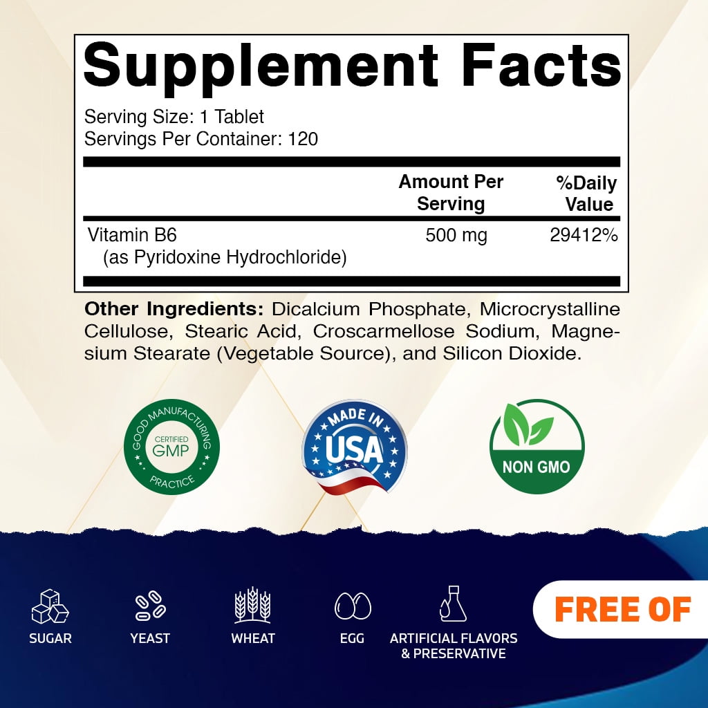 Vitamatic Vitamin B6 500 mg 2 Pack 120 Tablet
