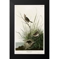 thumbnail image 2 of Vintage Apple Collection 13x18 Black Modern Framed Museum Art Print Titled - Sharp Tailed Finch, 2 of 5