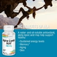 thumbnail image 3 of Solaray Alpha Lipoic Acid 250 mg | Healthy Antioxidant Activity & Energy Metabolism Support | Non-GMO & Vegan | 60 VegCaps, 3 of 4