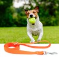 thumbnail image 2 of Greeniant con Clip de hebilla, Collar antipérdida/para evitar accidentes de coche para perros, cachorros, collares para perros, Suministros para perros naranja 2.5x120cm Greeniant PT0630-24, 2 of 6