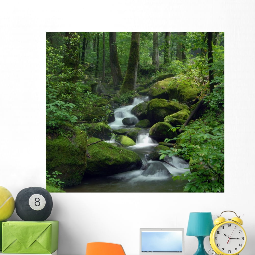 Mossy Waterfall Wall Mural by Wallmonkeys Peel and Stick Graphic (48 in ...