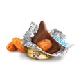thumbnail image 3 of Hershey's Kisses Milk Chocolate with Almonds Candy, Family Pack 16 oz, 3 of 8