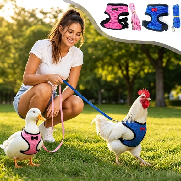 Breathable Poultry Chest Harness Leash Set Adjustable Mesh Chicken Duck Goose Walking Strap Outdoor Training Safety 2 Pack(M)